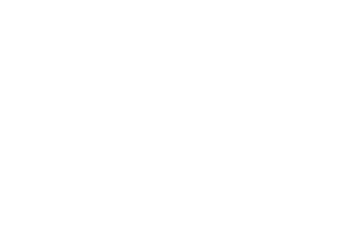 BNI BNI