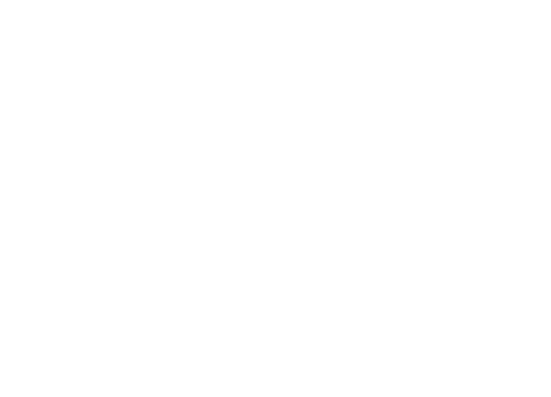 Boga Group Boga Group